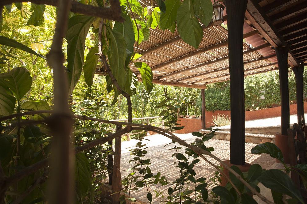 Casa Huijazoo Nature & Balance Hotel Mazunte Exterior photo